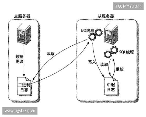 LNG在Major赛中的耐力表现分析与战术探讨