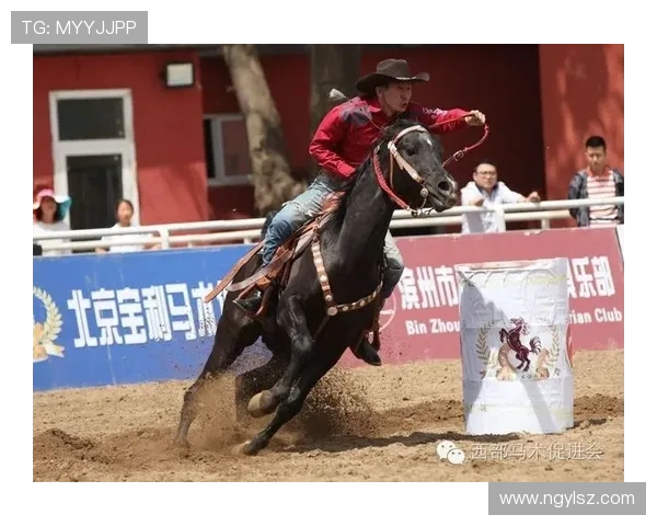 上海排球队在选拔赛中以81分稳居积分榜首位