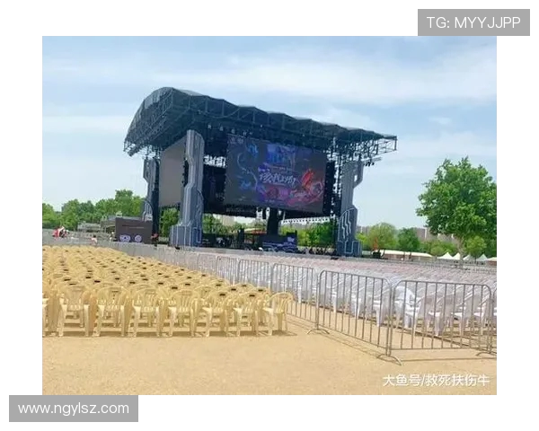 上海羽毛球队总决赛逆袭之旅背后的奋斗与荣耀故事